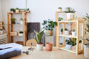 loews home improvement