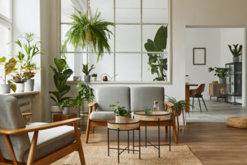 Home Improvement Products
