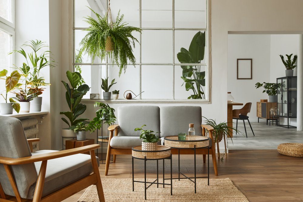 Home Improvement Products